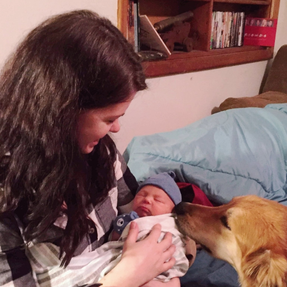 Meet my little family